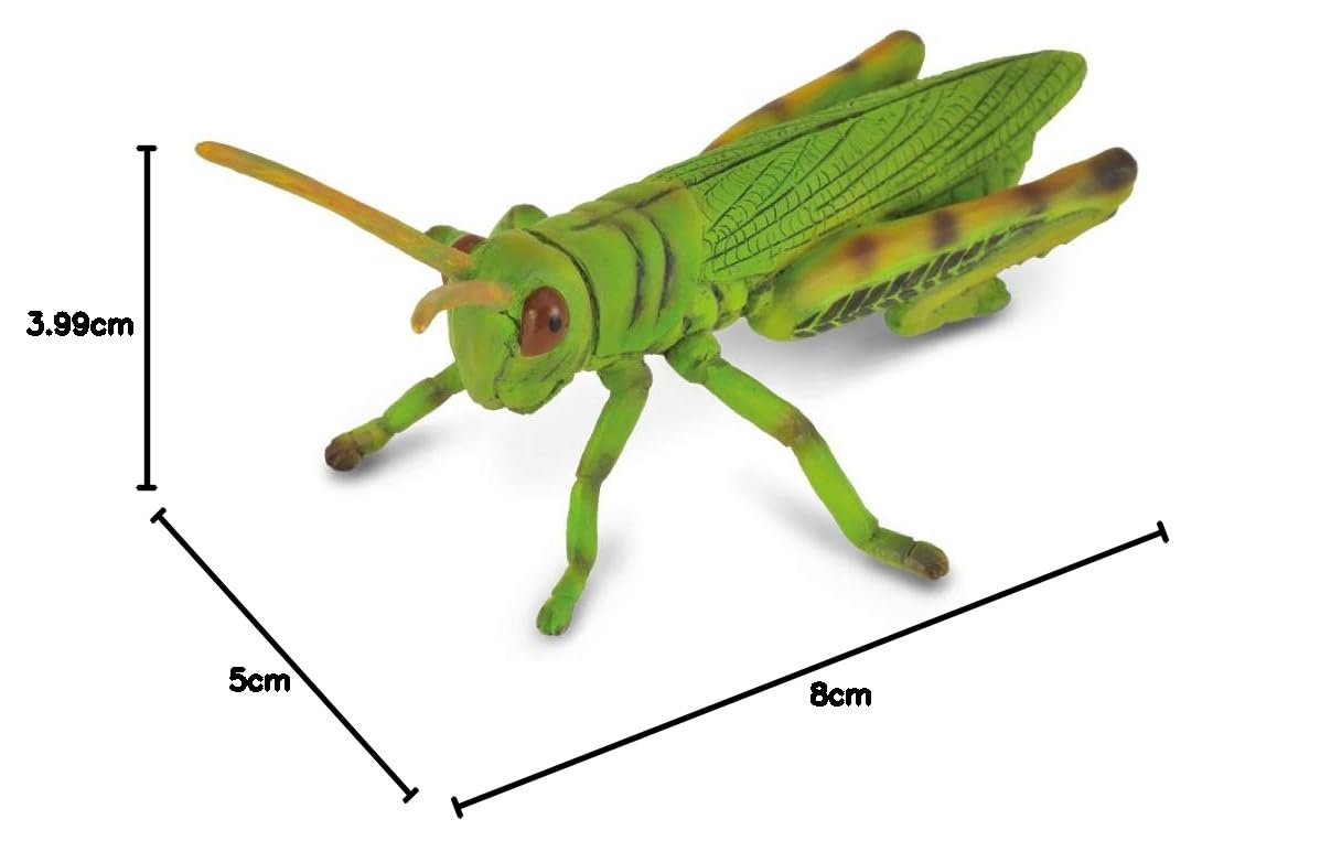 CollectA Grasshopper : Amazon.co.uk: Toys & Games